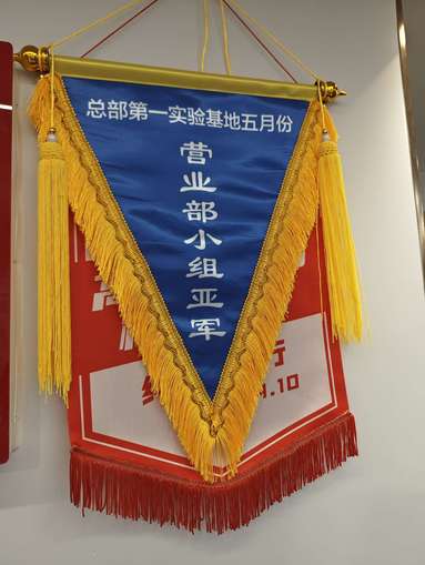 鱼泡网