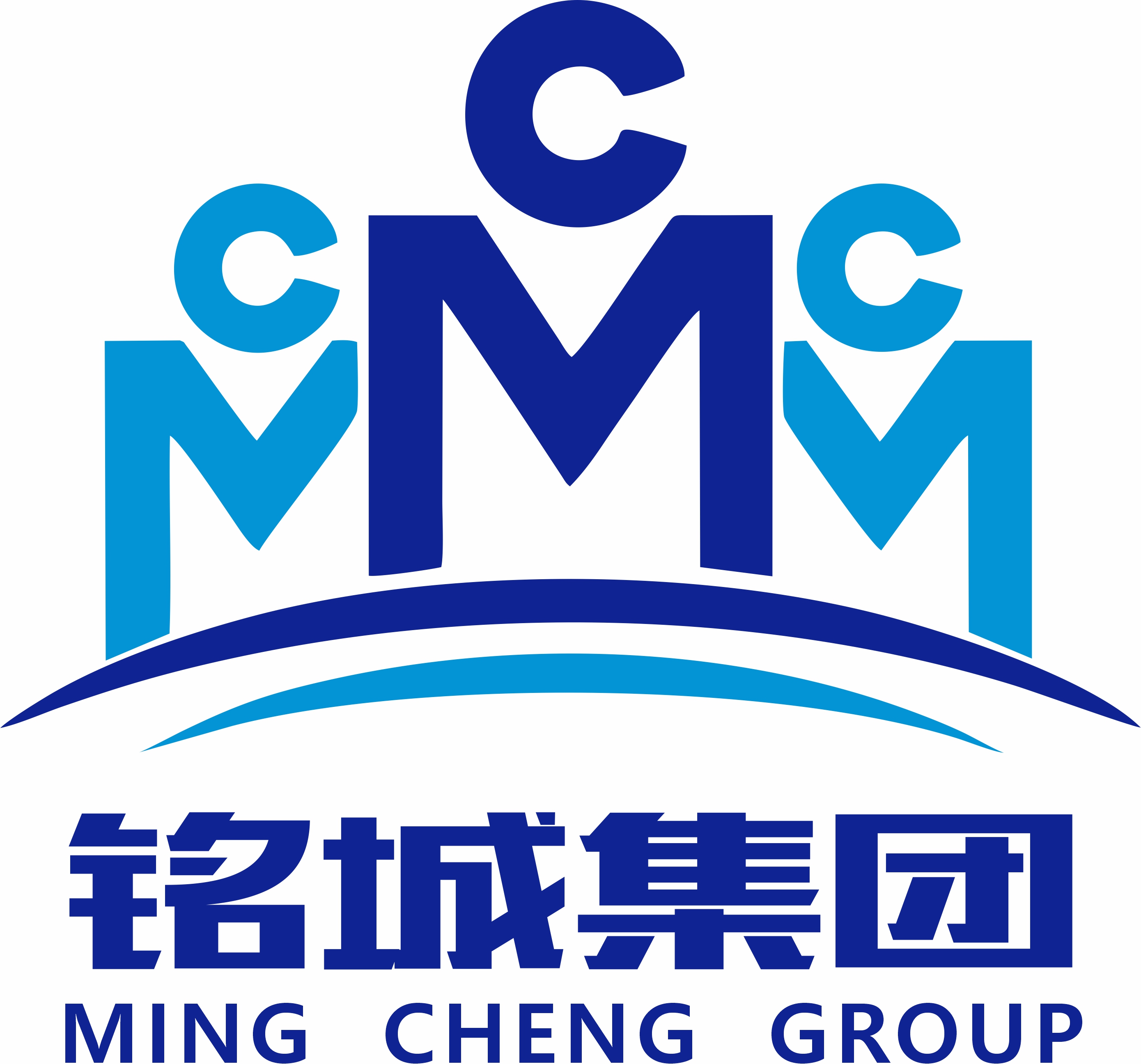 魚泡網