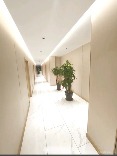 鱼泡网