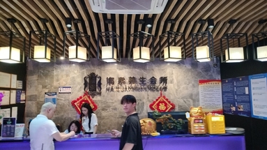 鱼泡网