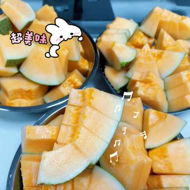 鱼泡网