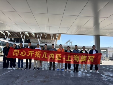 鱼泡网