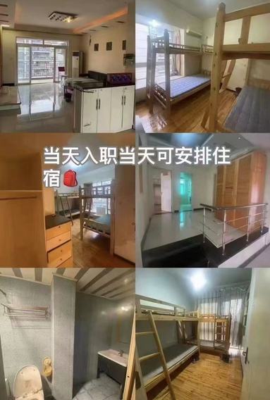 鱼泡网