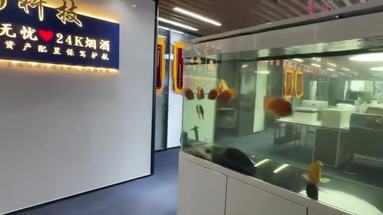 魚泡網(wǎng)