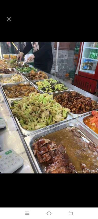鱼泡网
