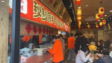 鱼泡网