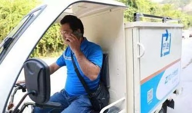 鱼泡网