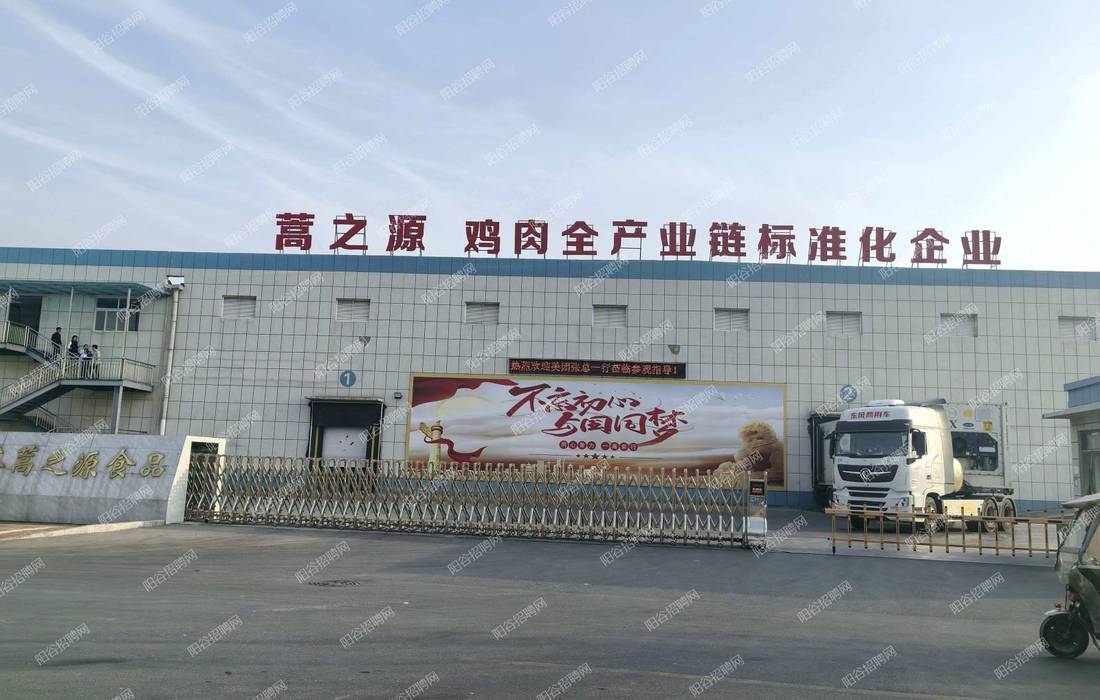 鱼泡网