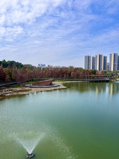 魚泡網(wǎng)