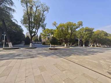 鱼泡网