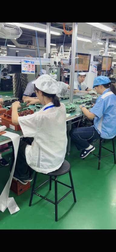 鱼泡网