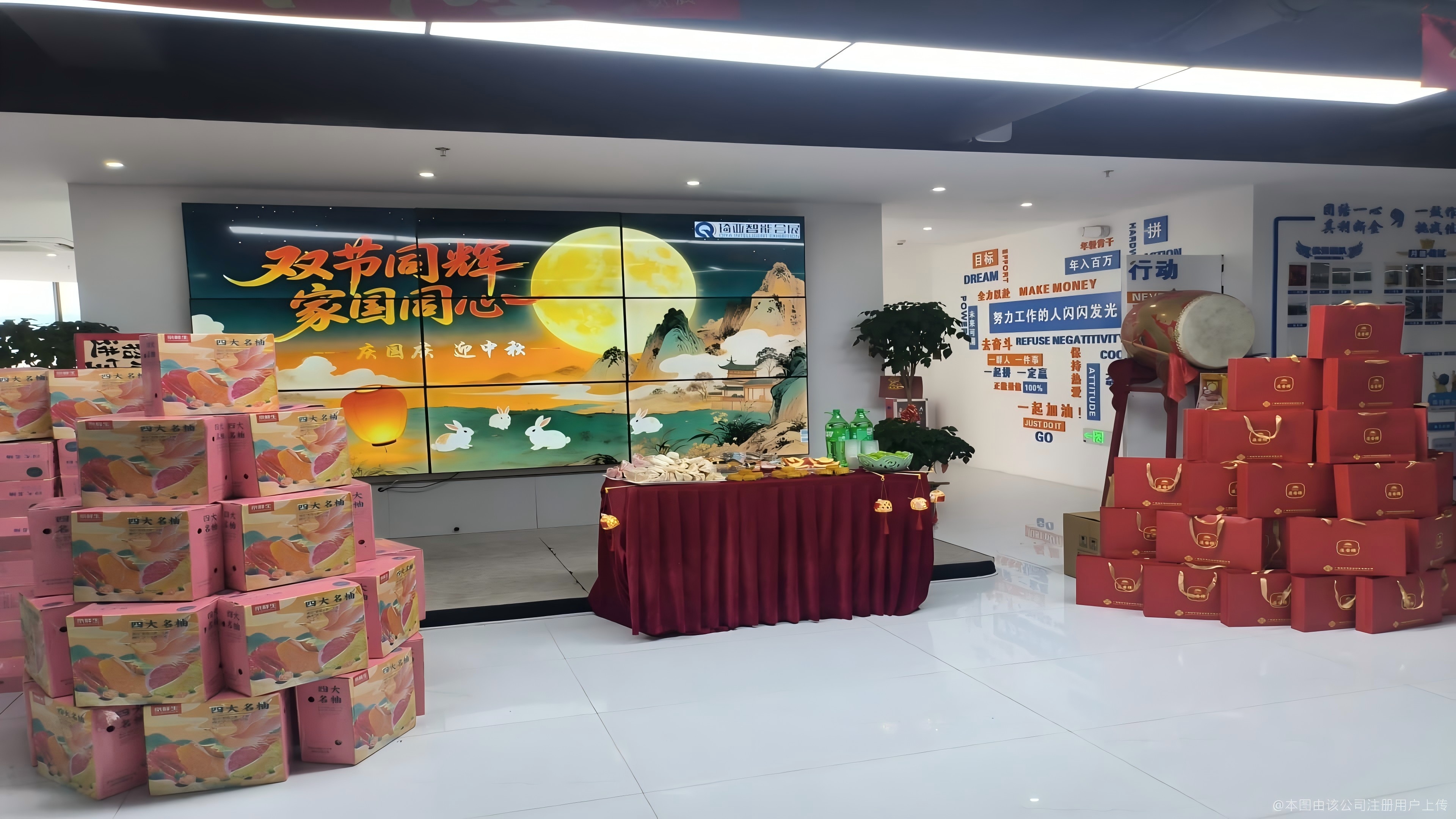 鱼泡网