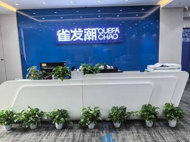 魚泡網