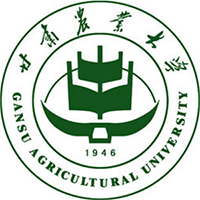 魚泡網(wǎng)