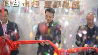 鱼泡网