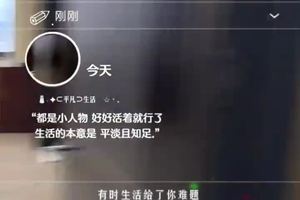 鱼泡网