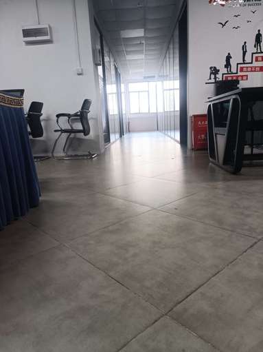 鱼泡网