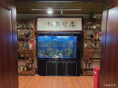魚泡網(wǎng)