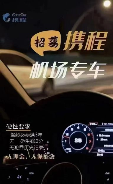 鱼泡网