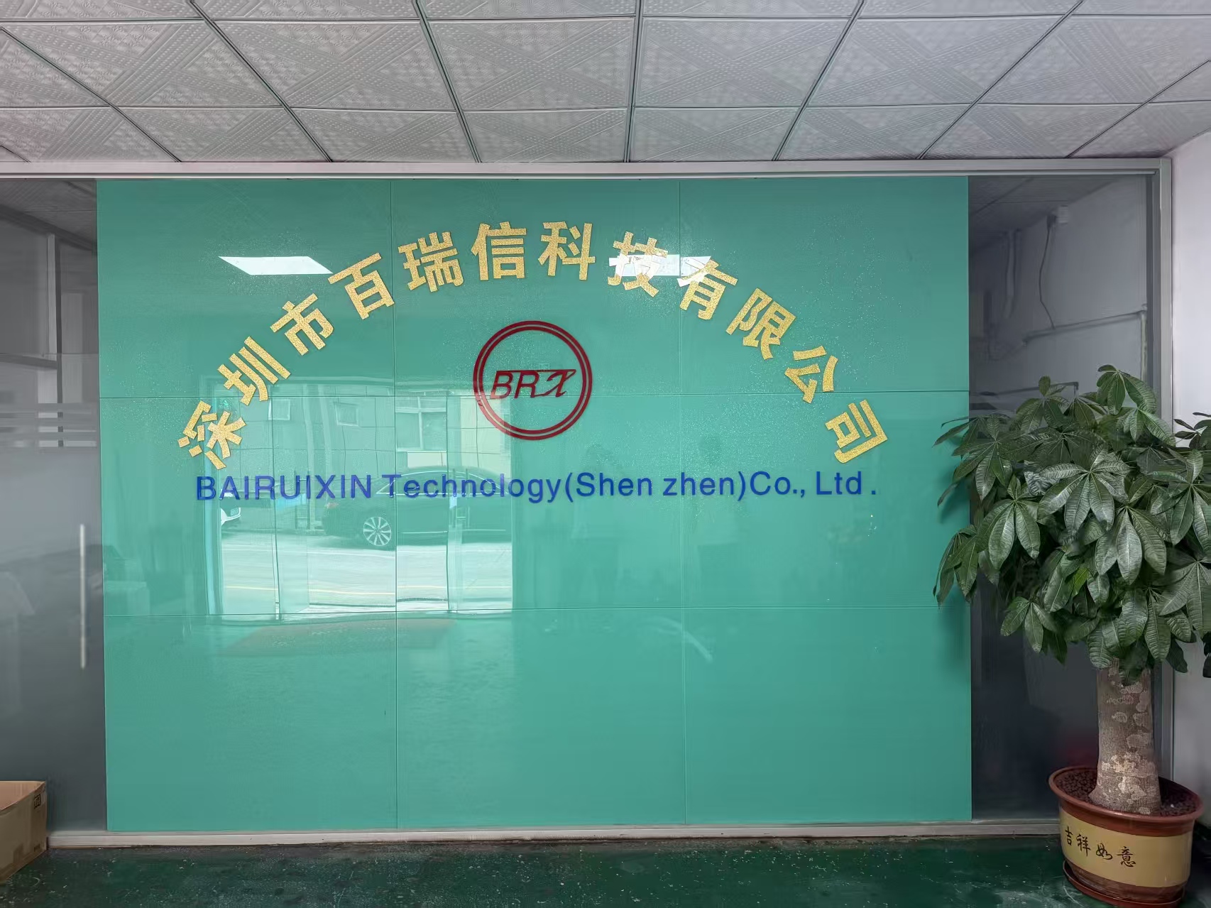 鱼泡网