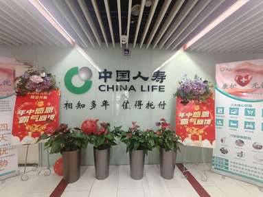 鱼泡网