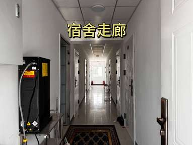 魚泡網(wǎng)
