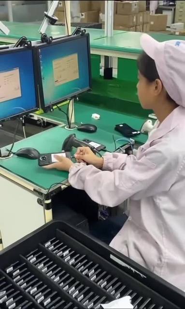 鱼泡网