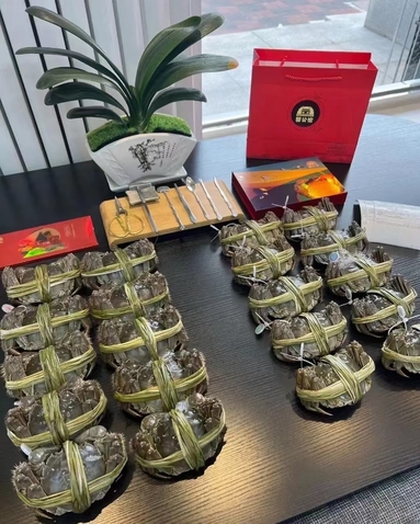 魚泡網(wǎng)