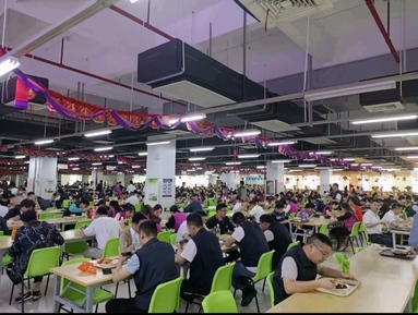 鱼泡网