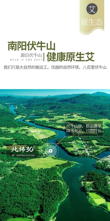 魚泡網