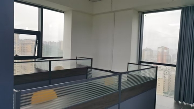 鱼泡网