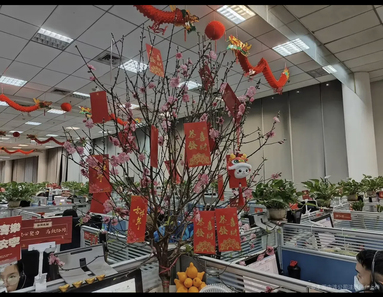 魚泡網(wǎng)