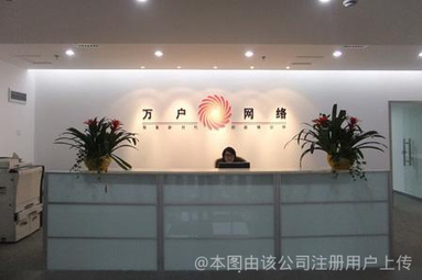 鱼泡网