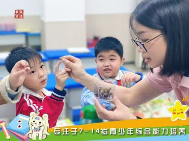 鱼泡网