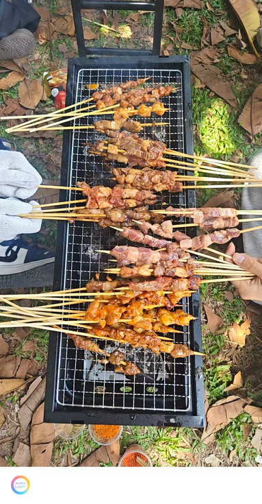 鱼泡网