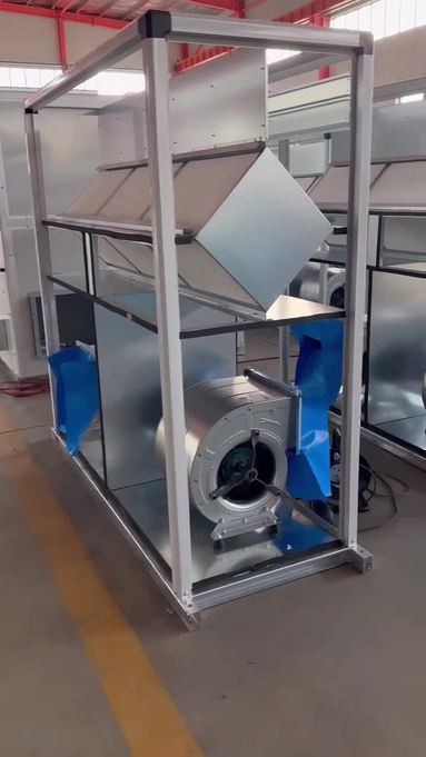 鱼泡网