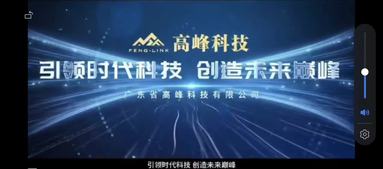魚泡網