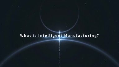 鱼泡网