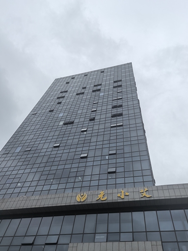 魚泡網
