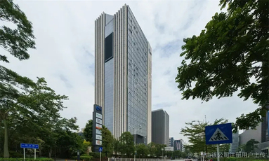 魚泡網(wǎng)