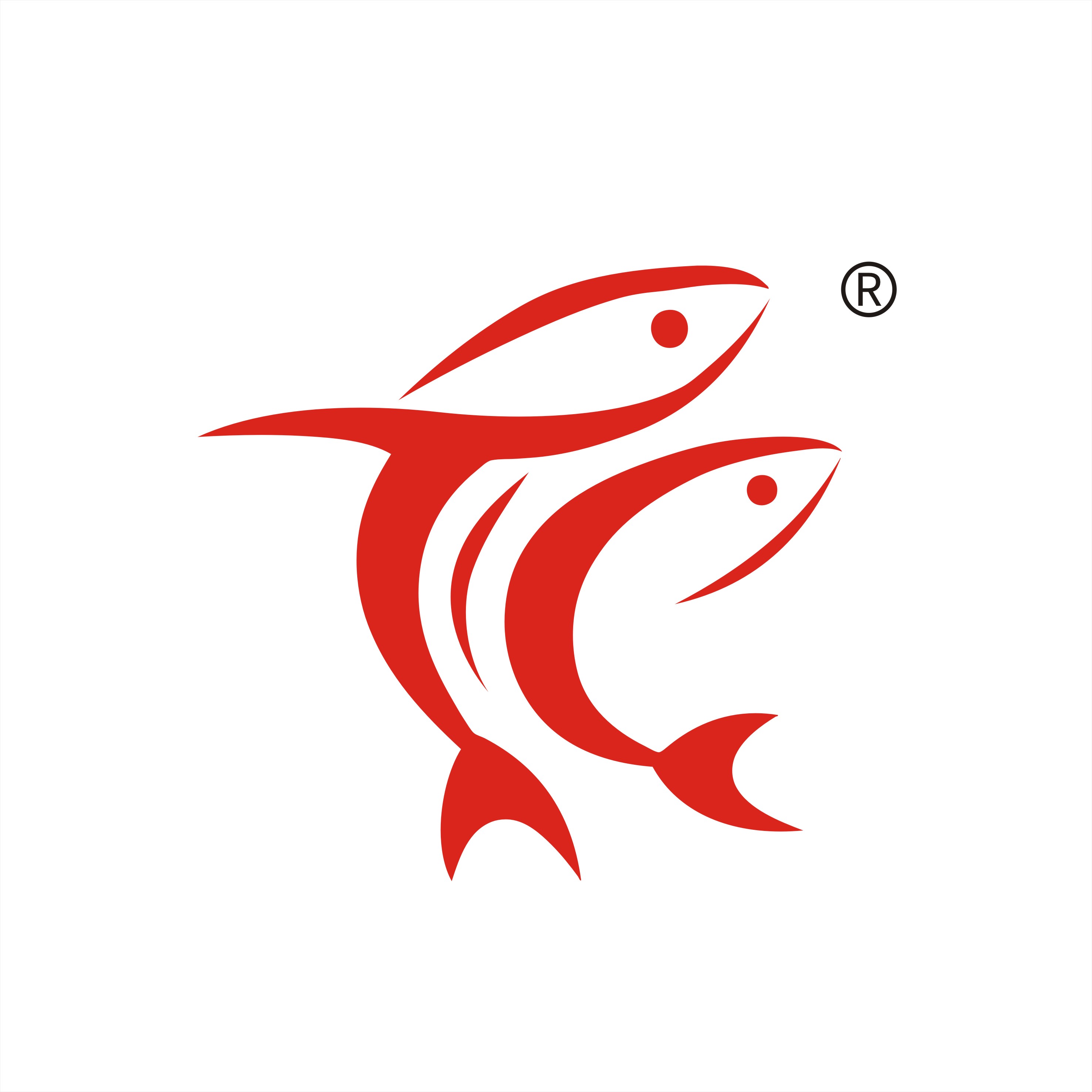魚泡網