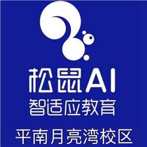 貴港市平南縣鼎勝教育信息咨詢有限公司