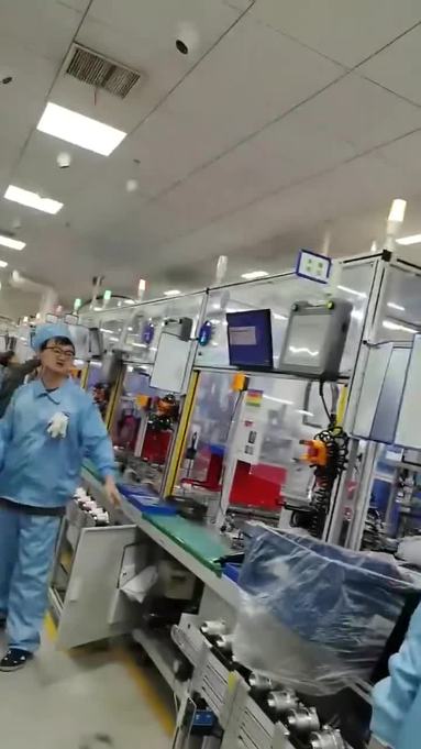 鱼泡网