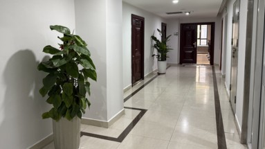 鱼泡网