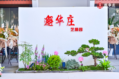 鱼泡网