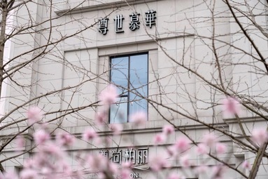 魚泡網