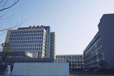 魚(yú)泡網(wǎng)