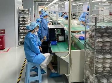 鱼泡网