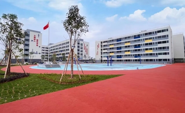 鱼泡网