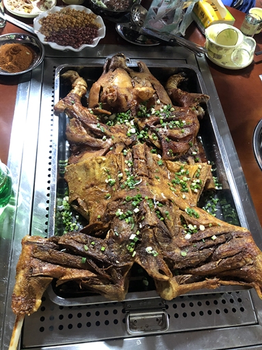 魚泡網(wǎng)